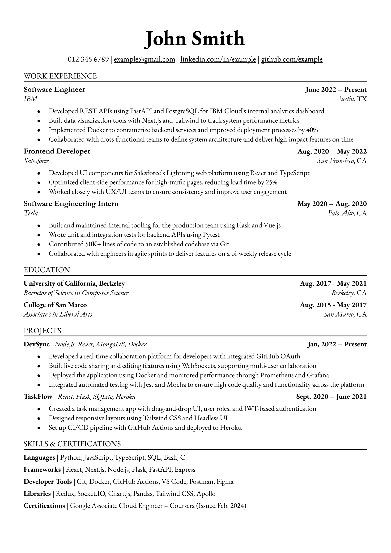 Professional Resume Template Preview
